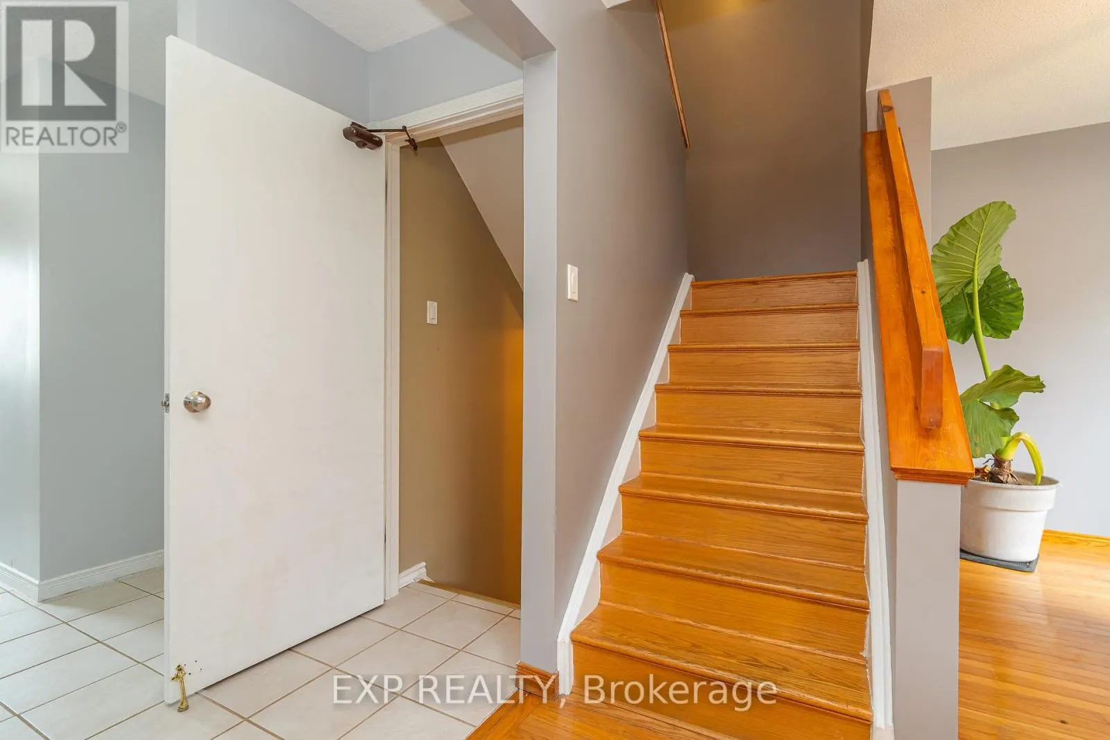 22 RICKEY PLACE