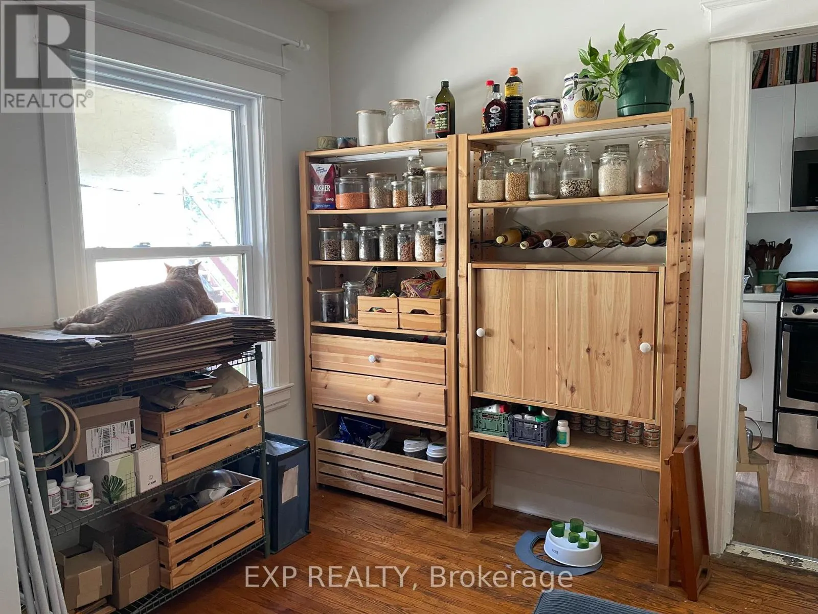 3 - 53 PROCTOR BOULEVARD, #3