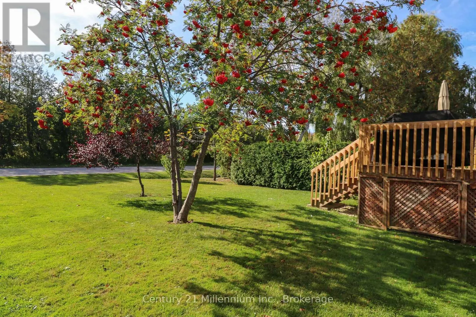 33 BIRCHWOOD COURT