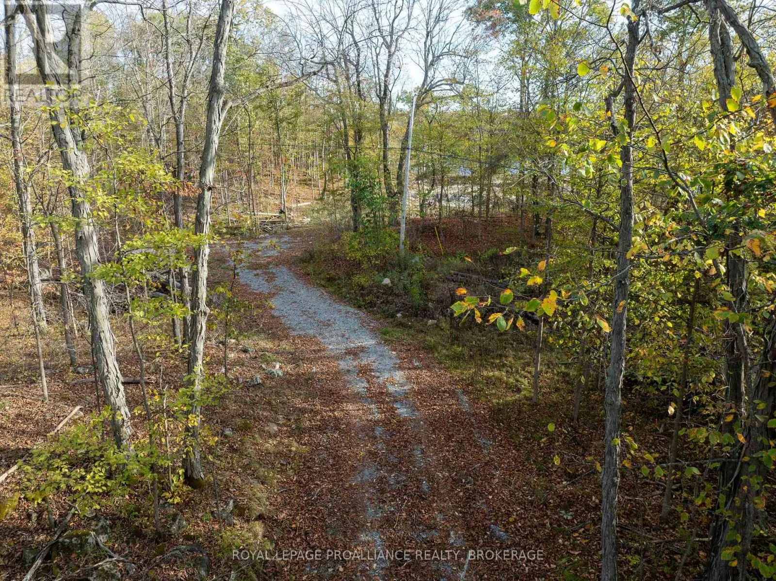 485 STAFFORD LANE