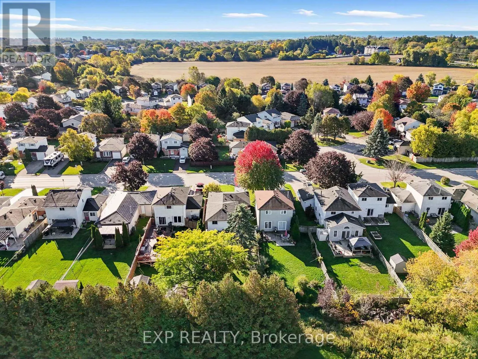 160 PEACOCK BOULEVARD