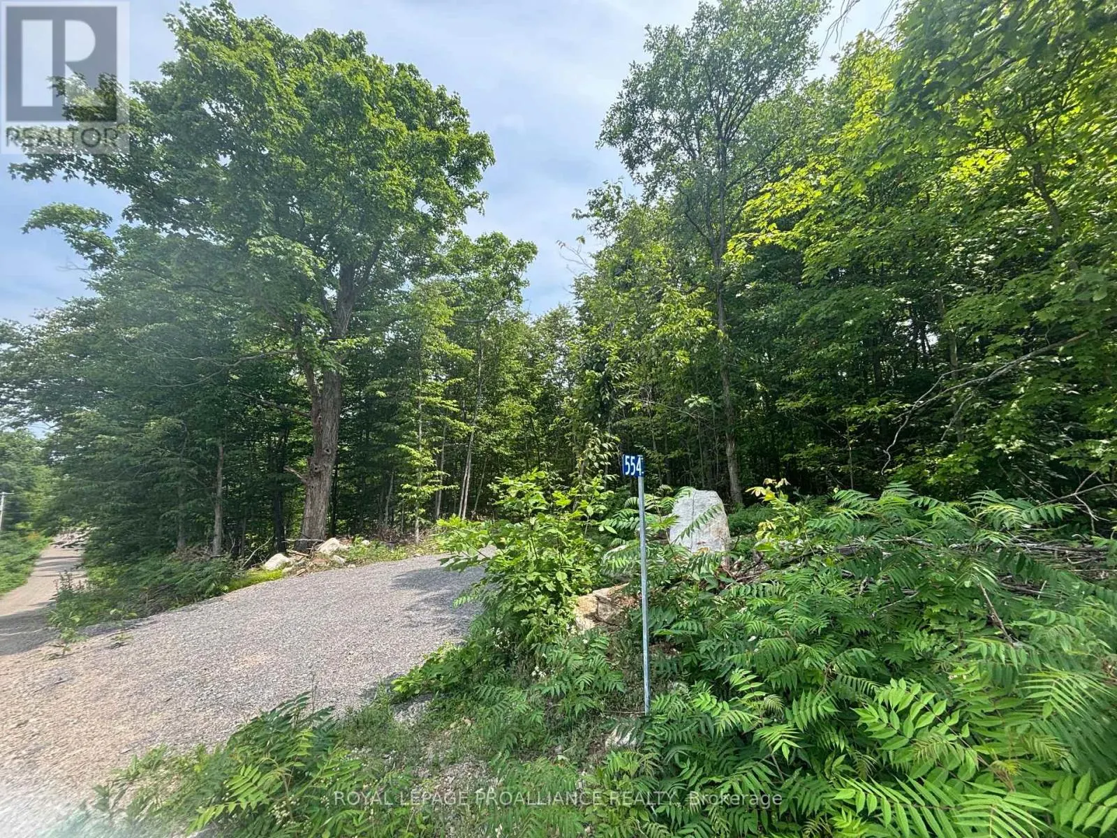 SEVERED B - 554 PIGDEN ROAD, #Severed B