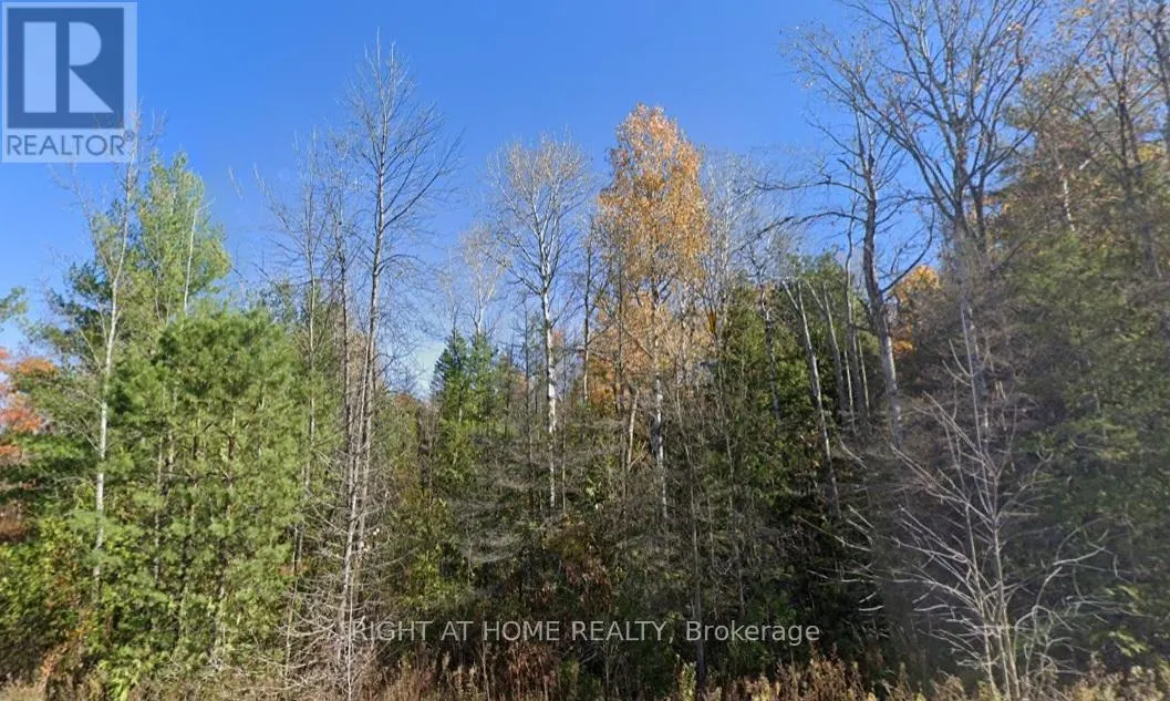 93 MCCLEARY ROAD