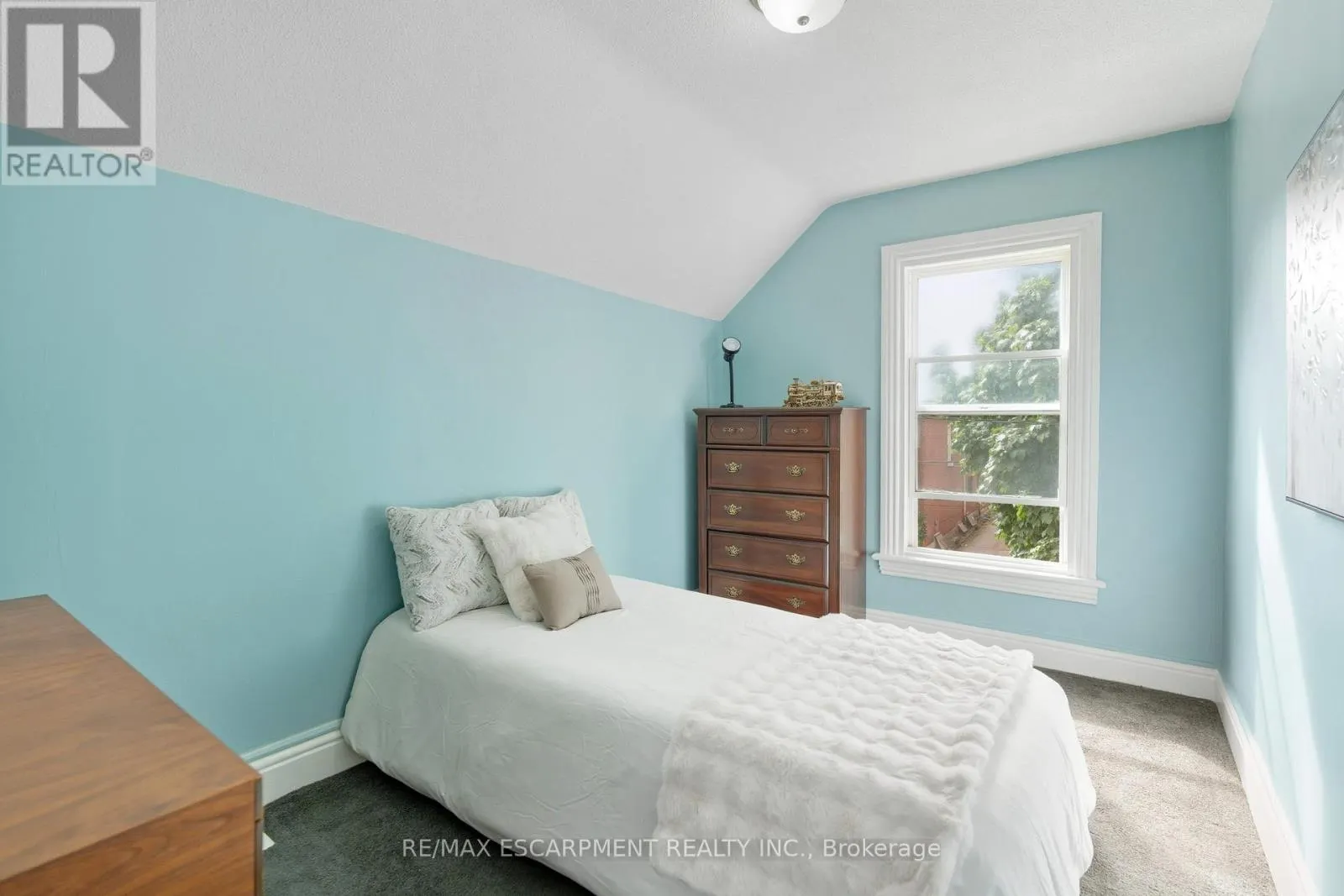 133 BIRGE STREET