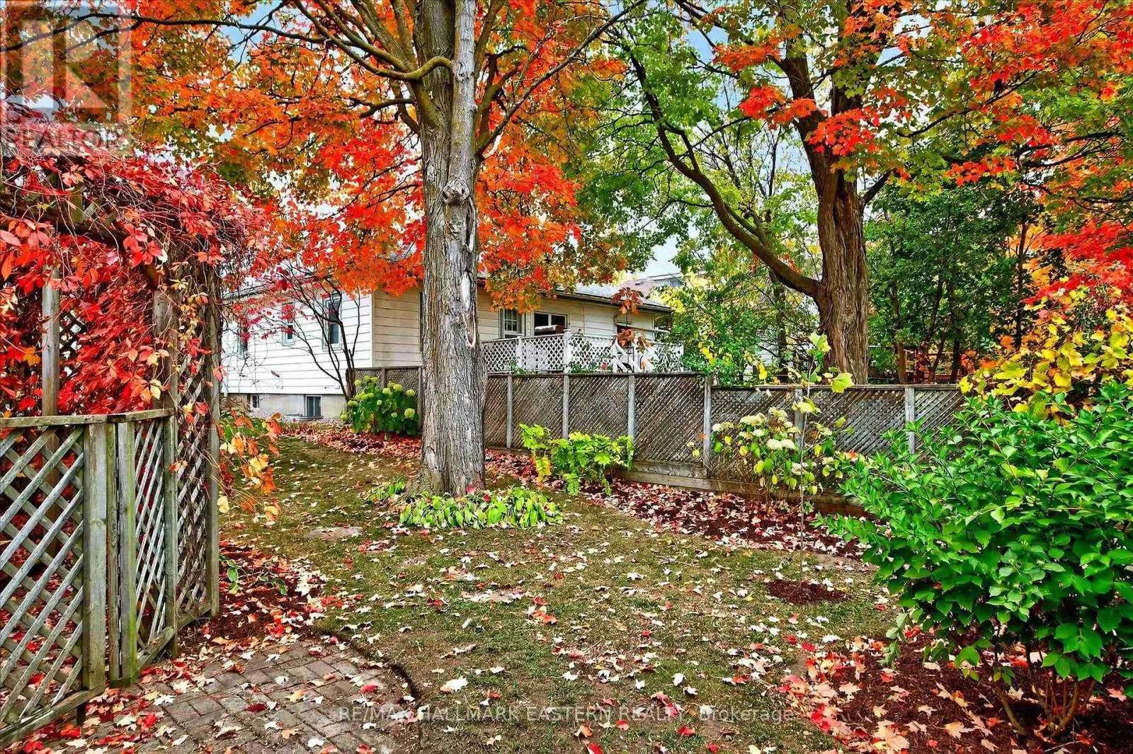 14 ALEXANDER AVENUE