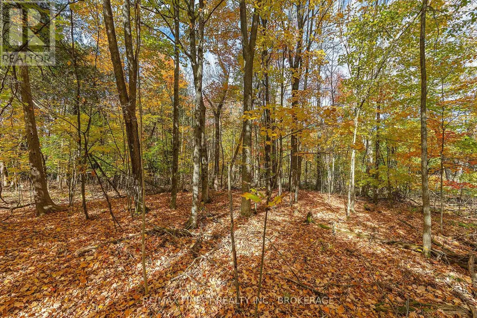 00 CEDARWOODS DRIVE