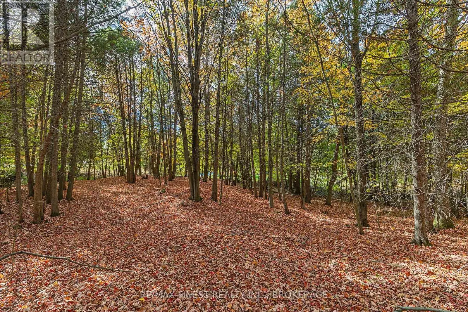 00 CEDARWOODS DRIVE