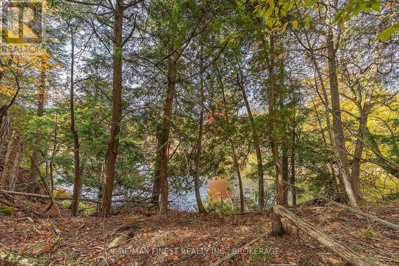 00 CEDARWOODS DRIVE