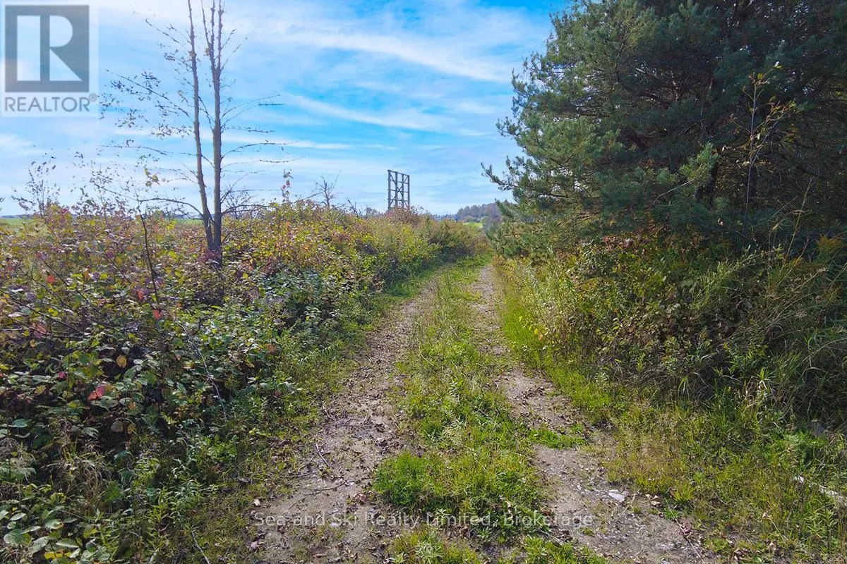 31313 GREY ROAD 14 ROAD