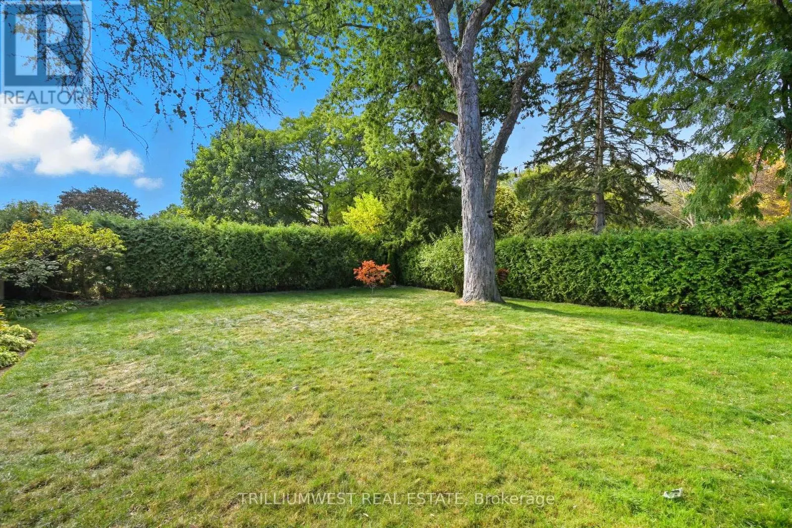 7 AVALON AVENUE