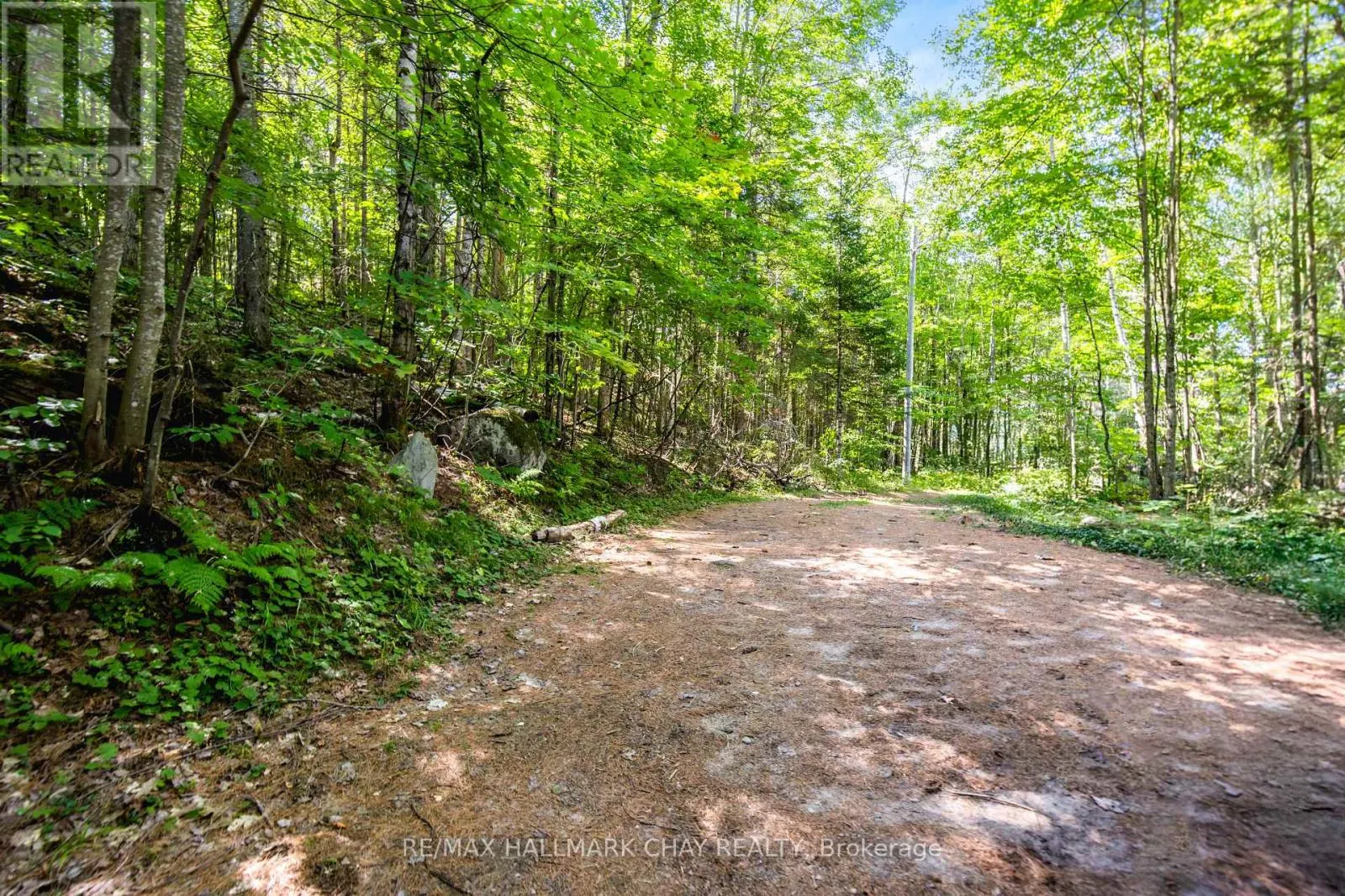 182 BRODIE KAY TRAIL
