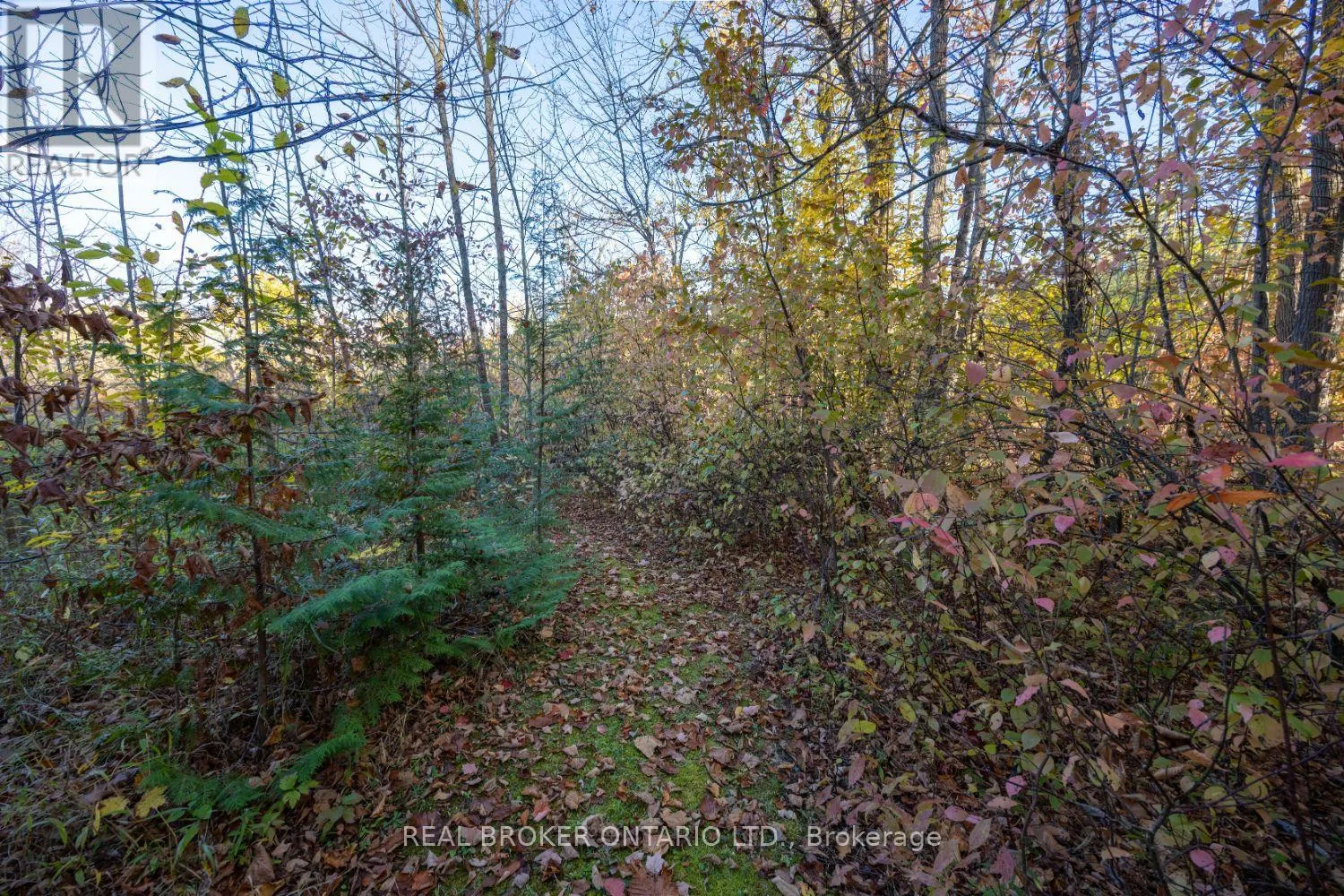 201 RICHARDSON ROAD