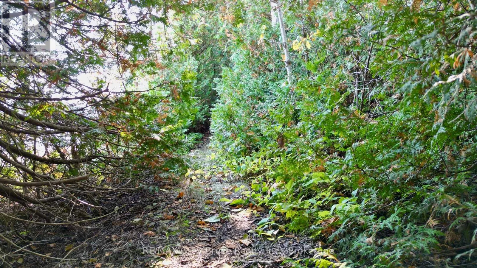 248 ISTHMUS BAY ROAD