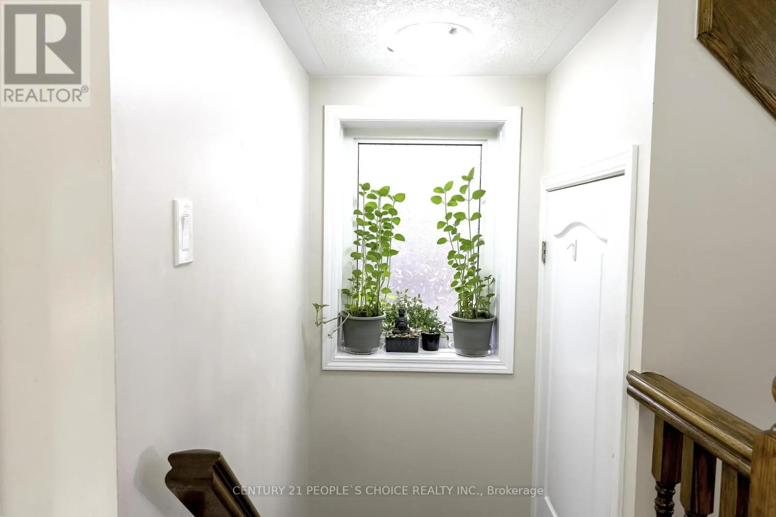 335 FALLING GREEN CRESCENT