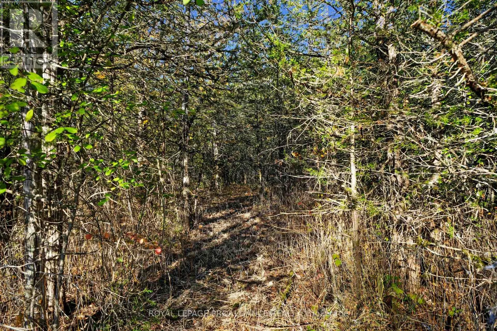 LOT 2 HILLSIDE DRIVE