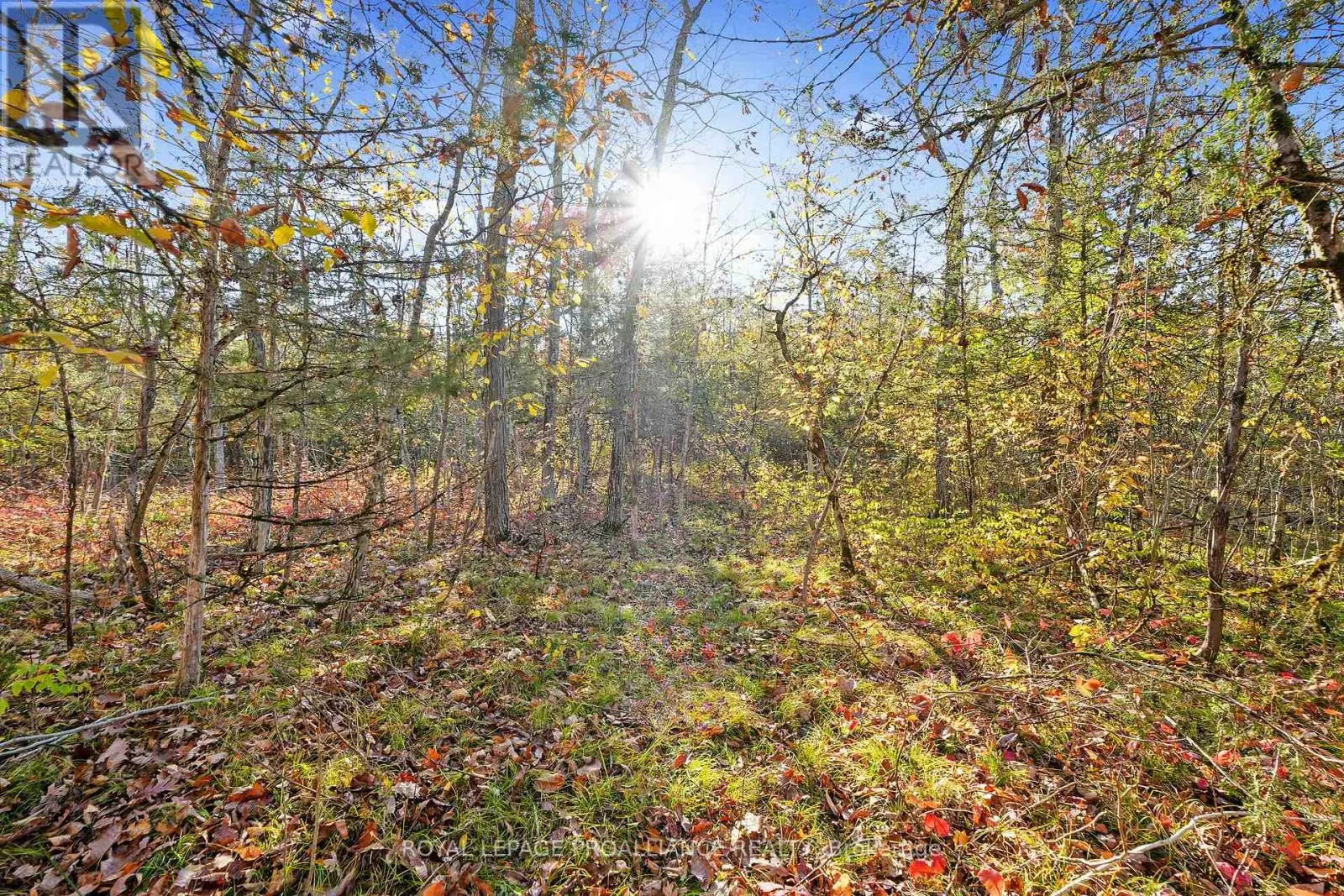 LOT 2 HILLSIDE DRIVE