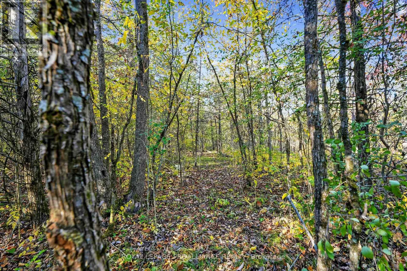 LOT 2 HILLSIDE DRIVE