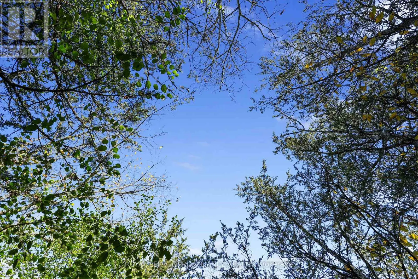 LOT 2 HILLSIDE DRIVE