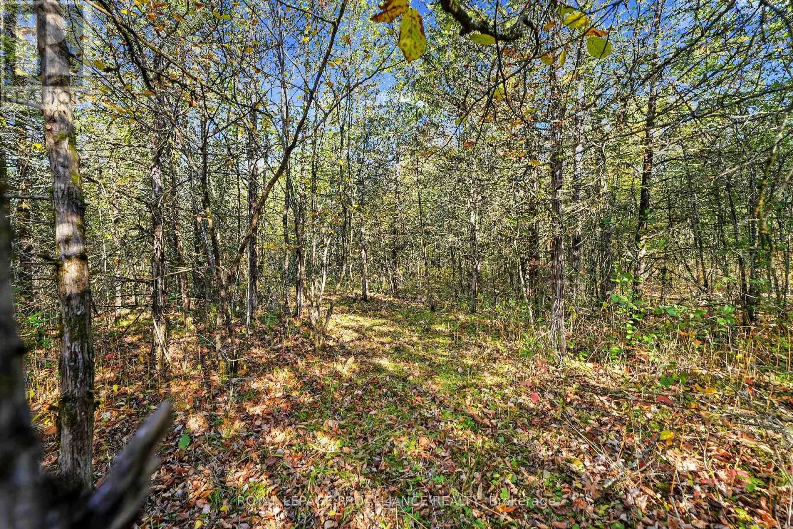 LOT 2 HILLSIDE DRIVE