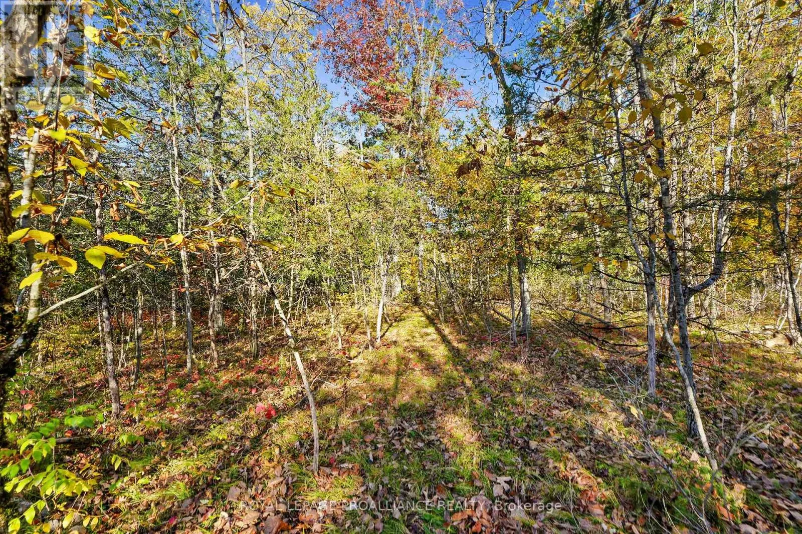 LOT 2 HILLSIDE DRIVE