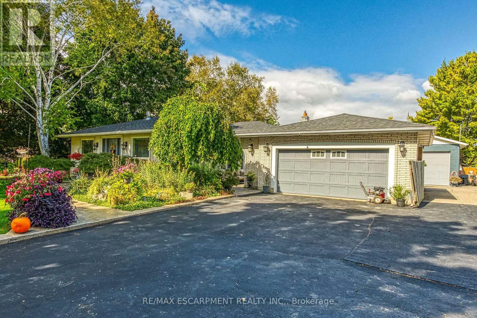 477 LYNDEN ROAD