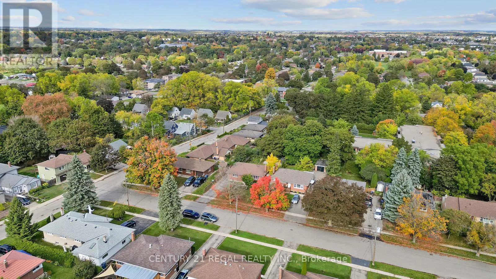 21 LOUISA DRIVE