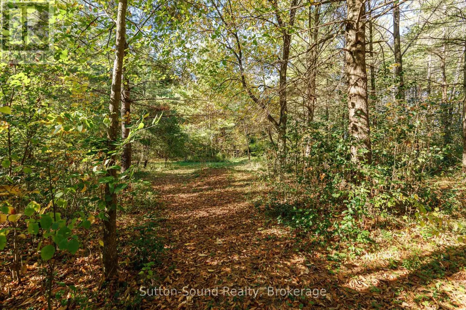 303277 33 SIDE ROAD