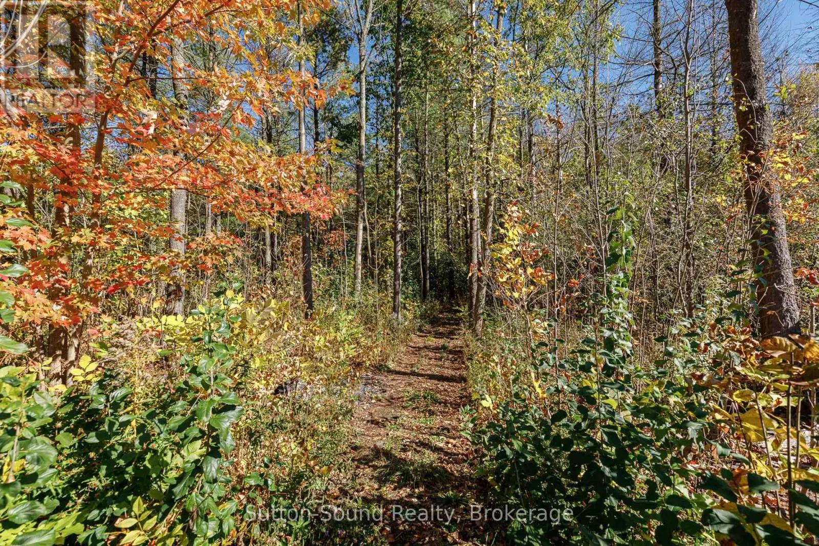 303277 33 SIDE ROAD