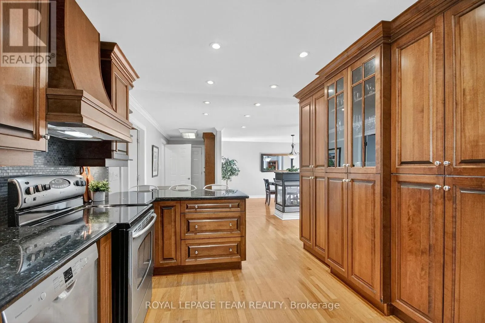 1079 CHRISTOPHER DRIVE