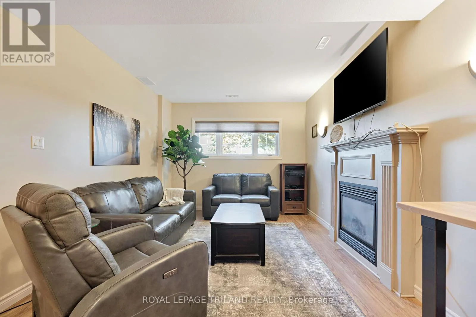 3805 TRILLIUM DRIVE