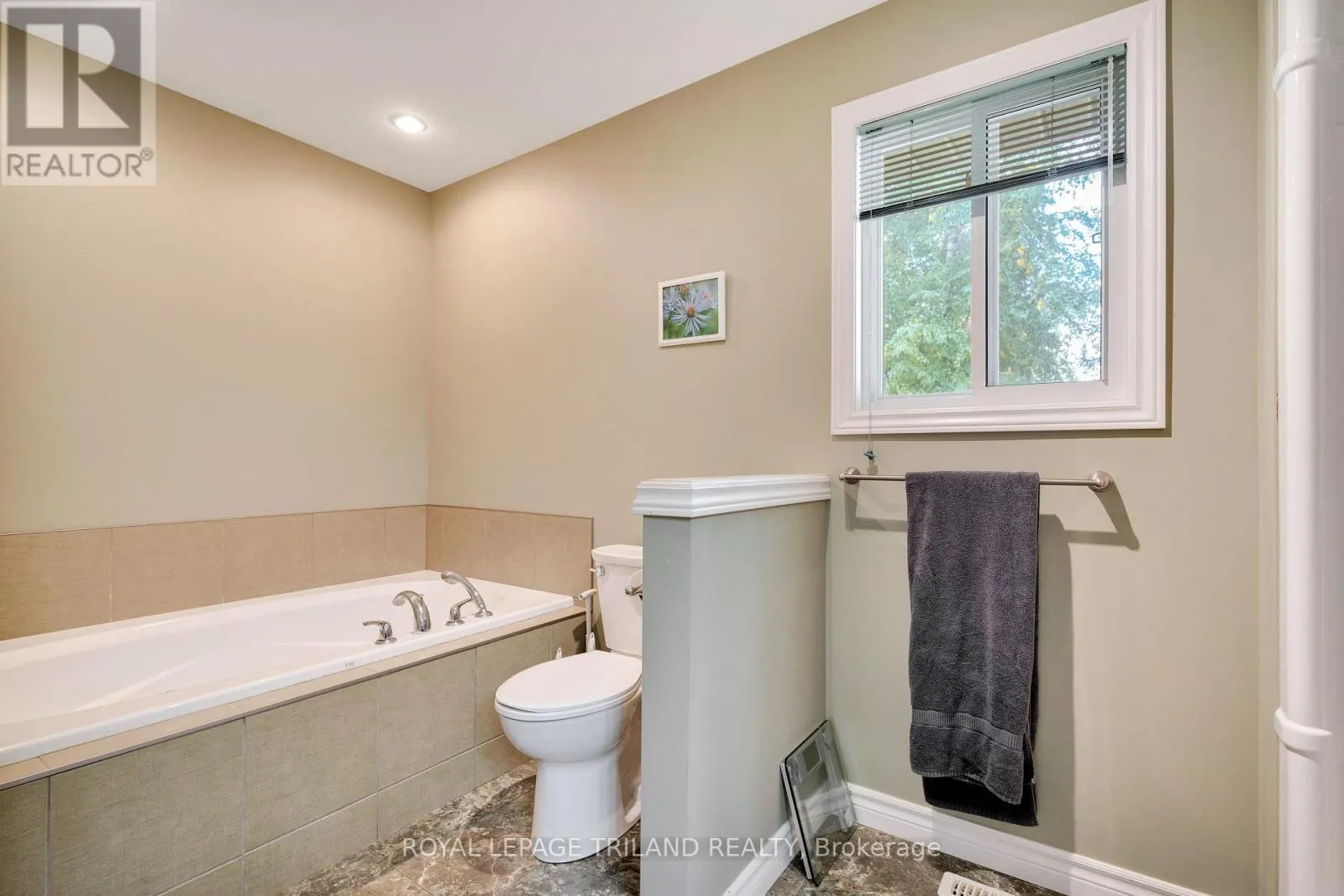 3805 TRILLIUM DRIVE