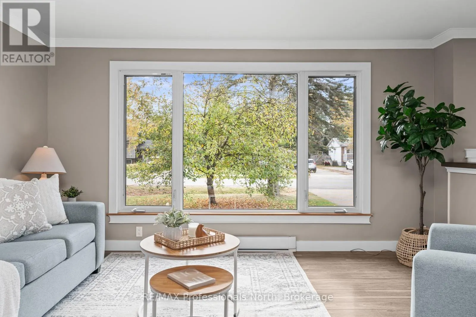11 ANDREA DRIVE