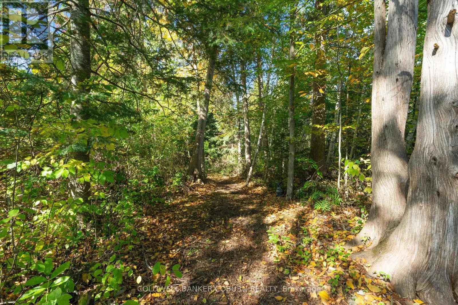 2 SUGAR MAPLE WAY