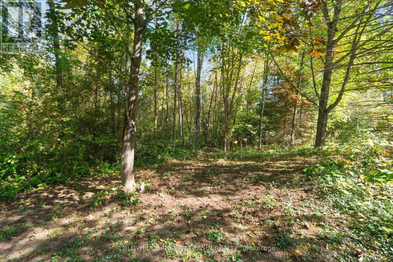 2 SUGAR MAPLE WAY