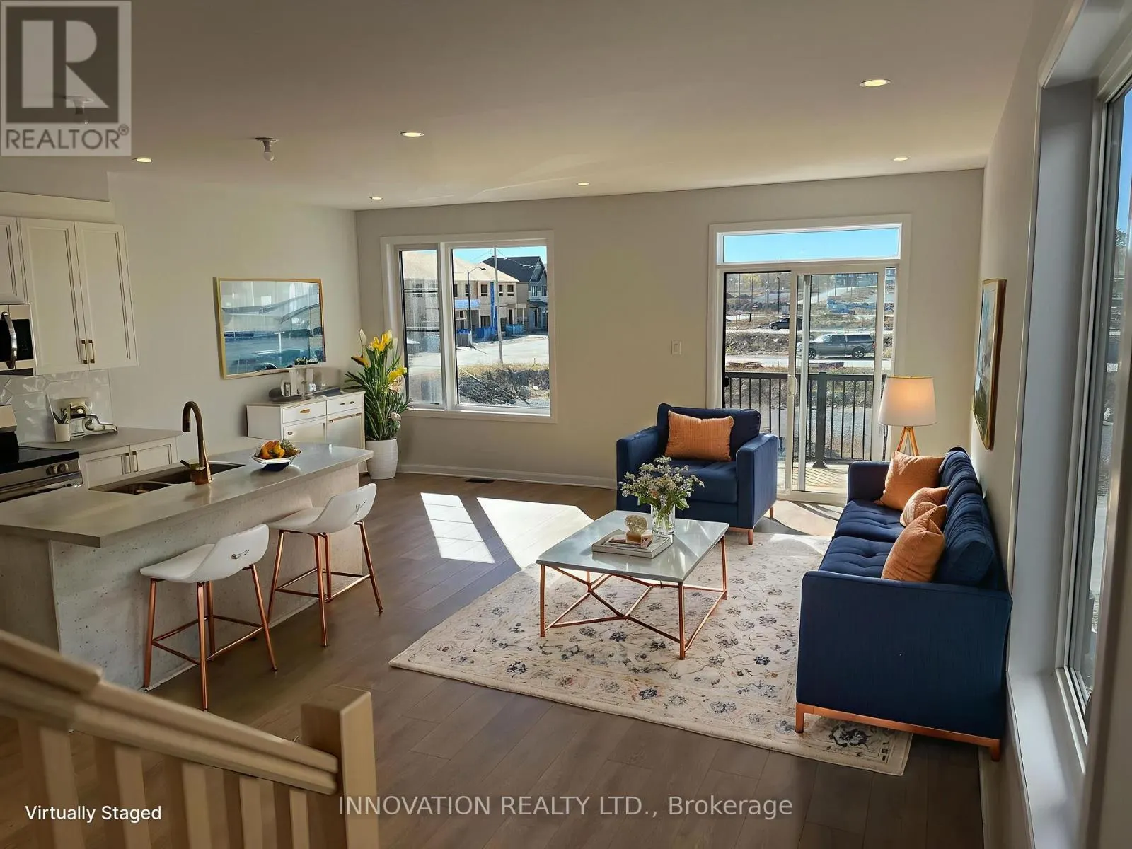 219 VISIONARY LANE