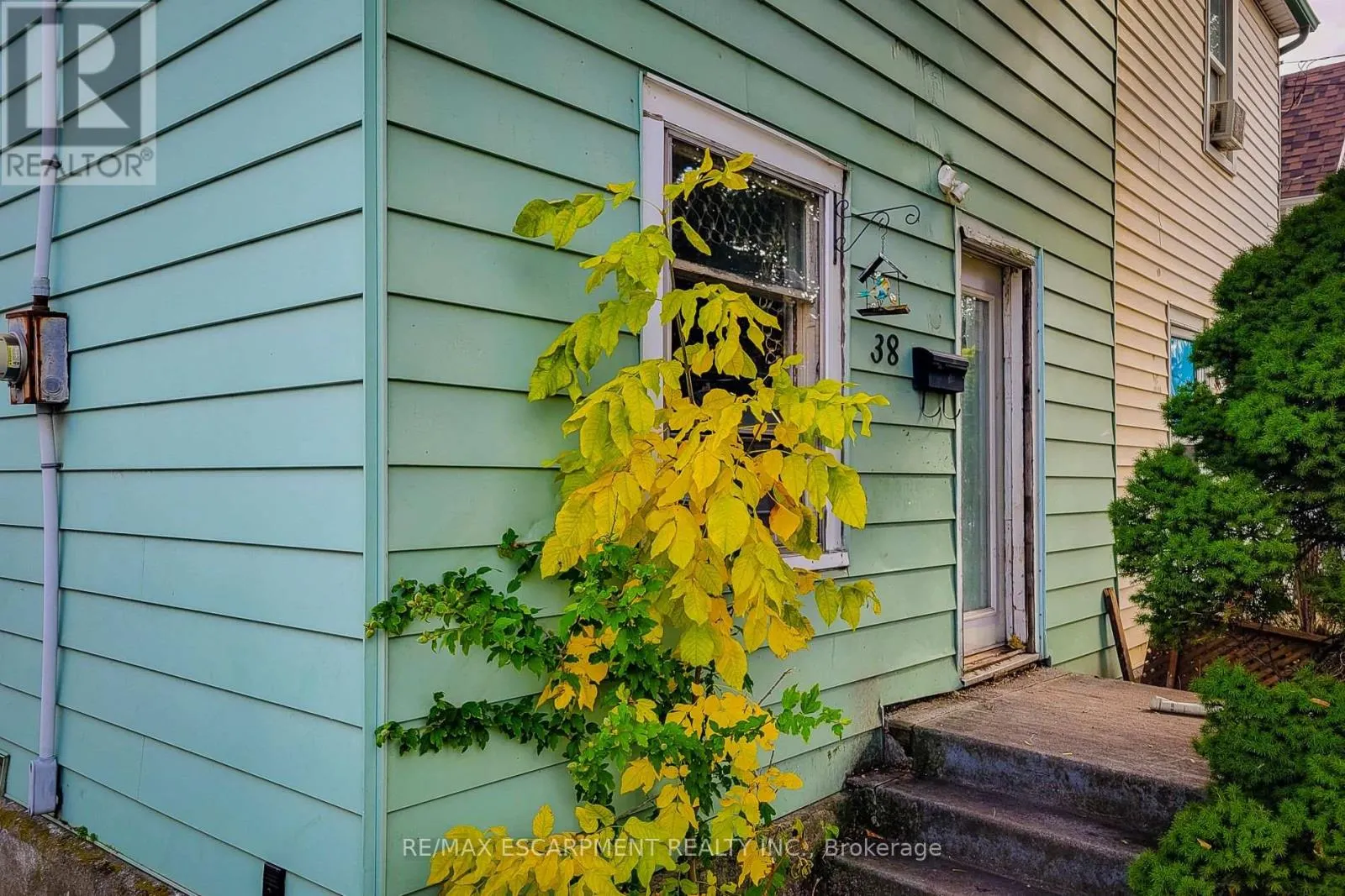38 ELLIS AVENUE