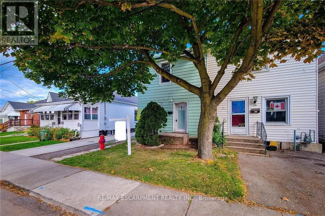 38 ELLIS AVENUE