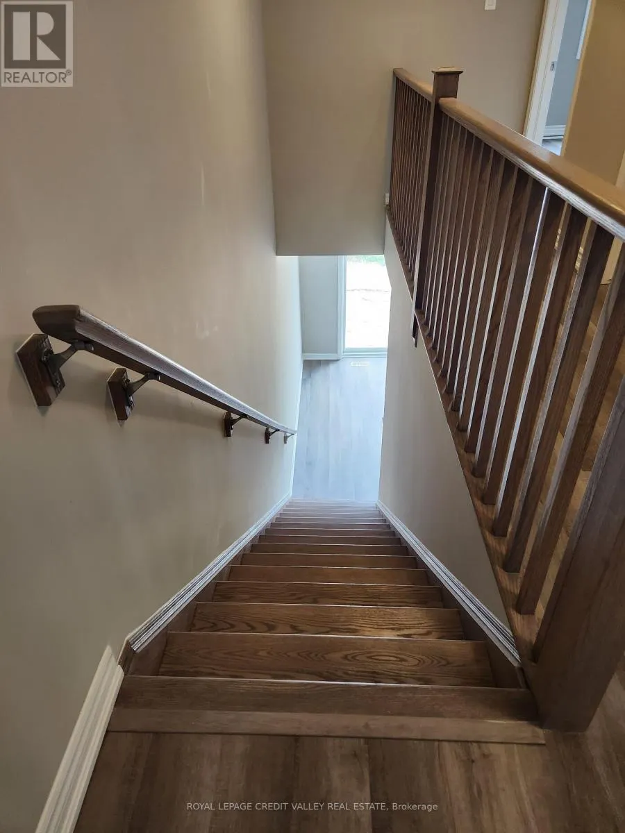 46 FORESTWALK STREET