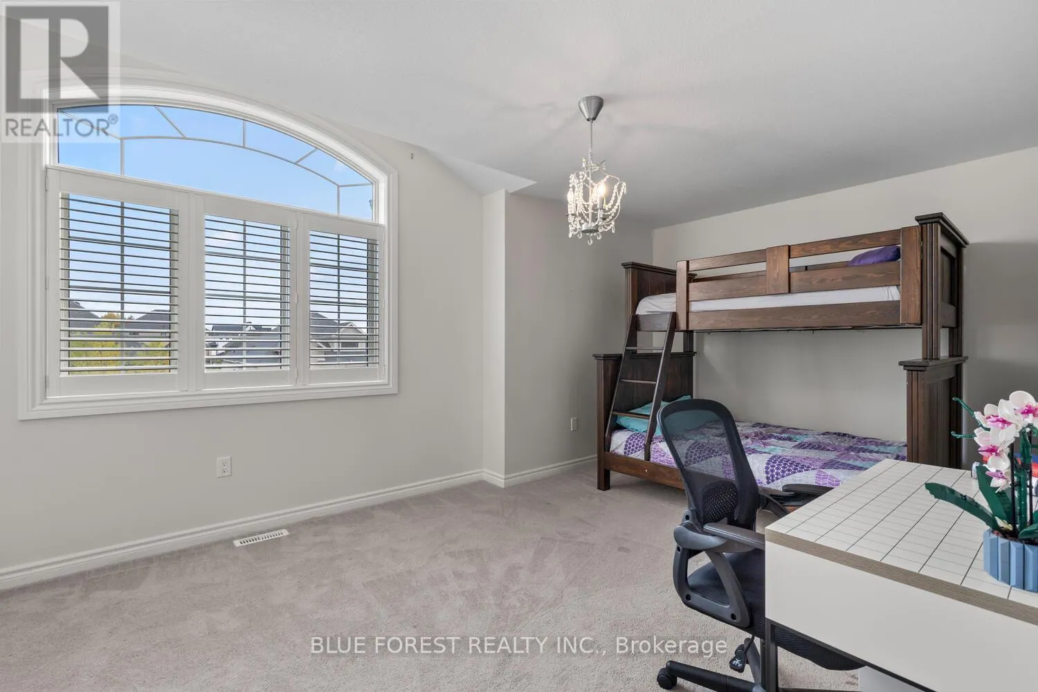 12 VIOLET COURT