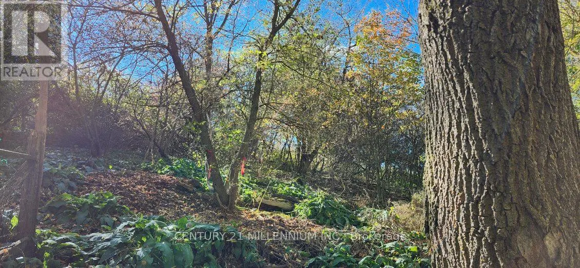 PLAN 4A BLK 3 LOT 10 MILL STREET