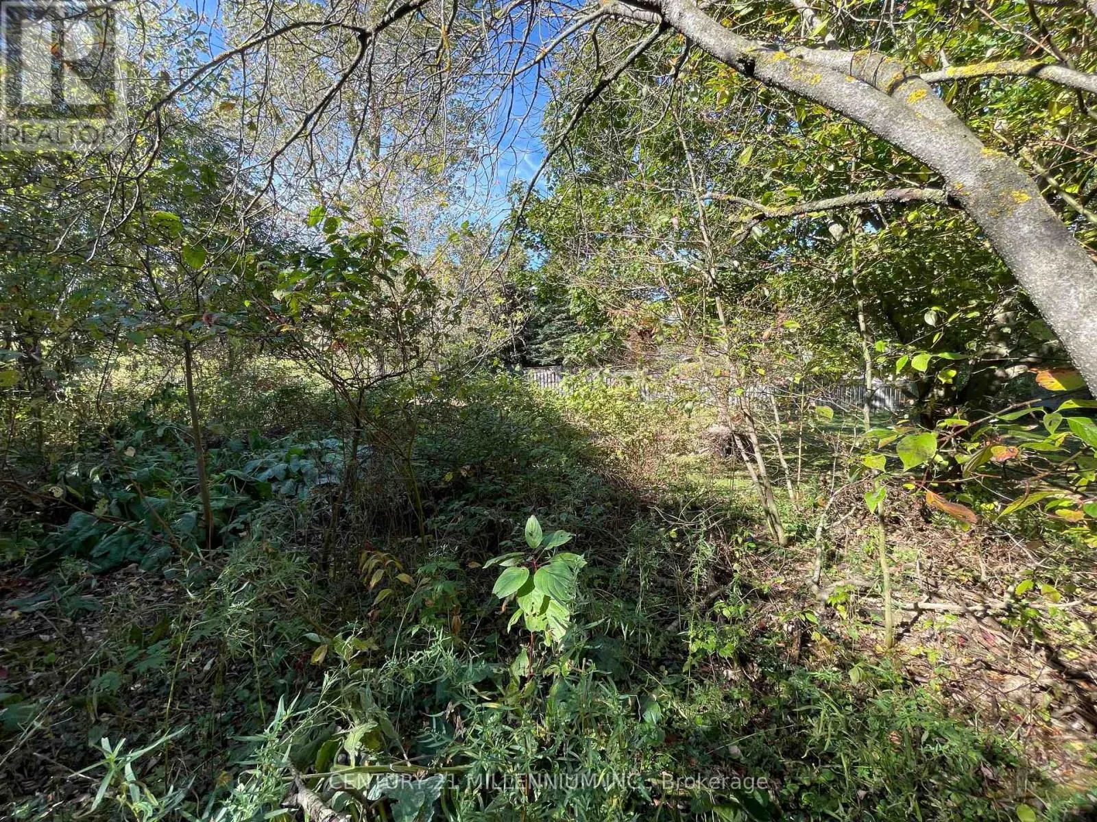 PLAN 4A BLK 3 LOT 10 MILL STREET
