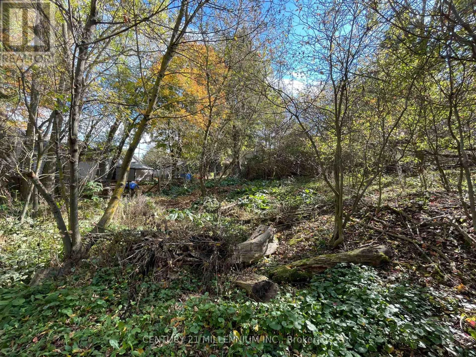 PLAN 4A BLK 3 LOT 10 MILL STREET