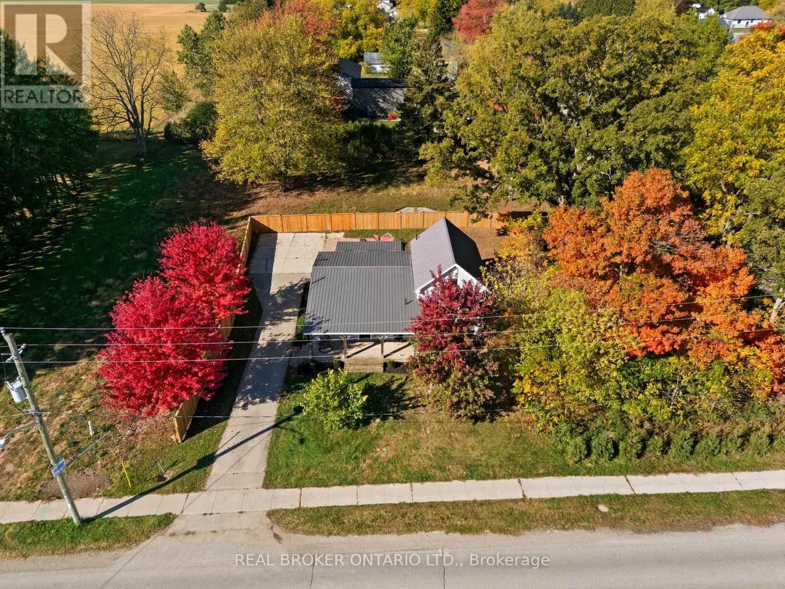 11683 SPRINGFIELD ROAD