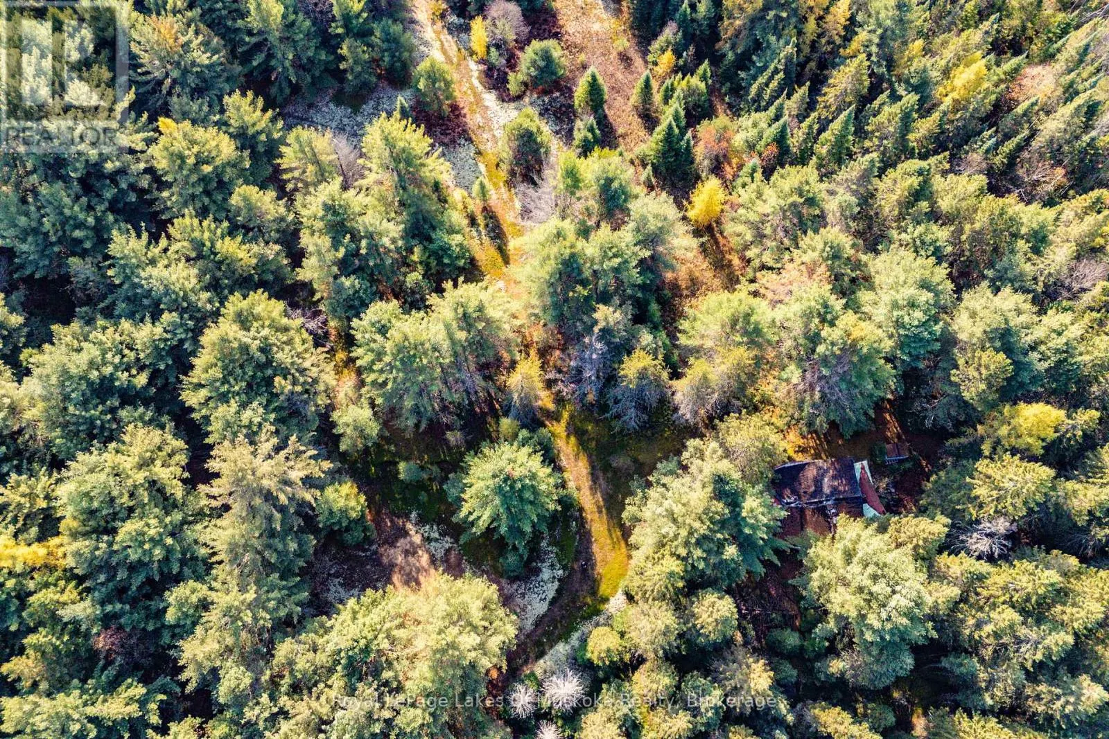 267 & 321 CARDWELL LAKE ROAD