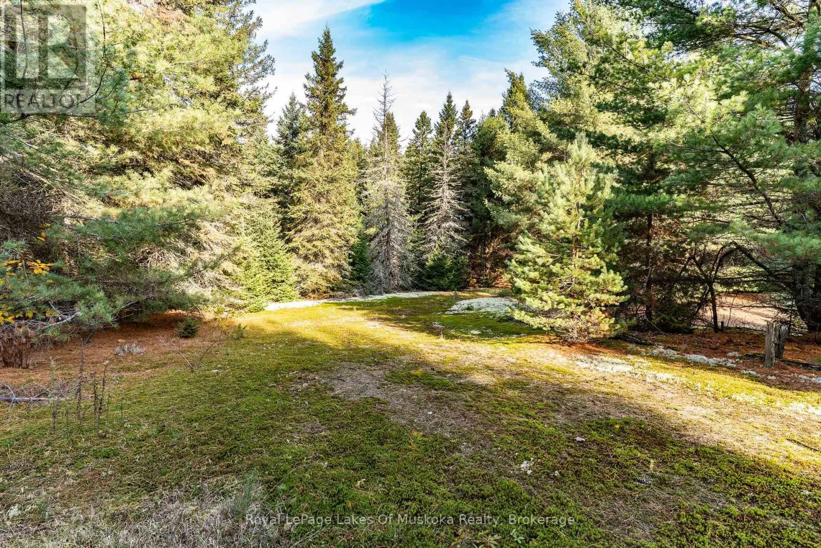 267 & 321 CARDWELL LAKE ROAD