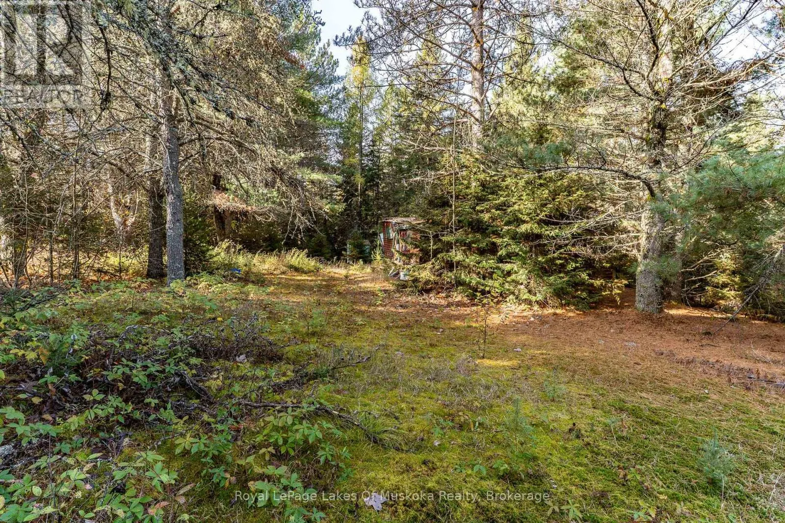 267 & 321 CARDWELL LAKE ROAD