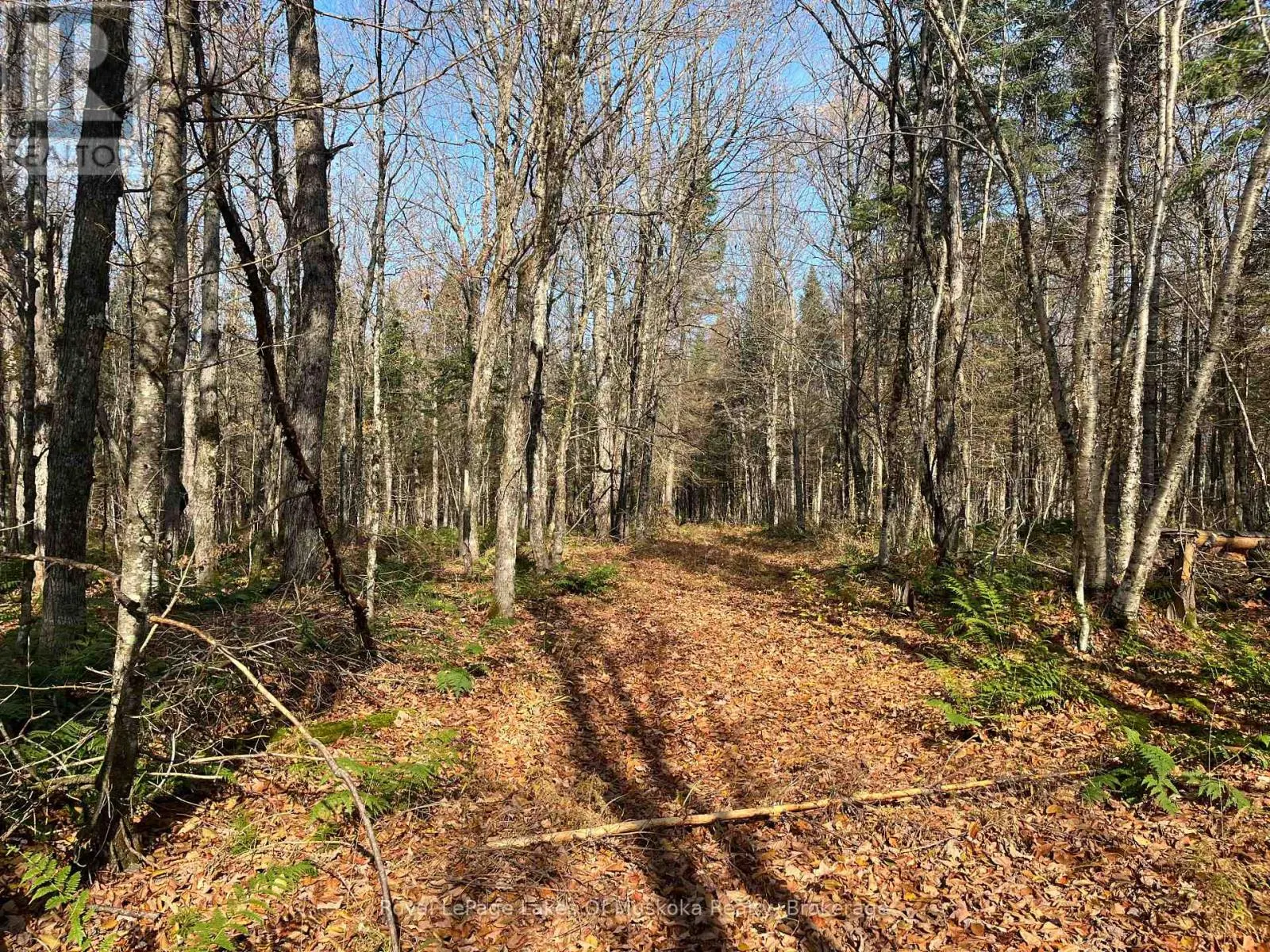 267 & 321 CARDWELL LAKE ROAD