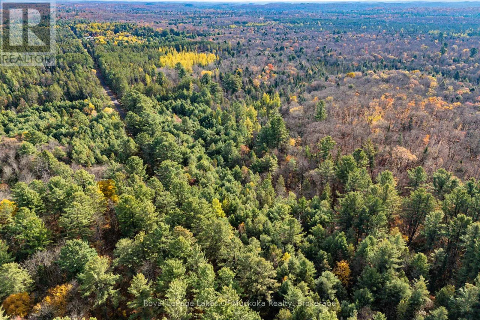 267 & 321 CARDWELL LAKE ROAD