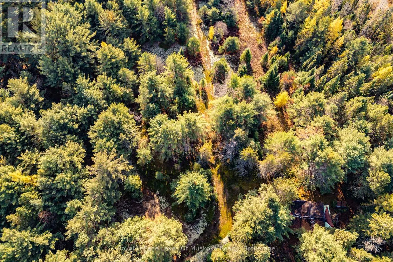 267 & 321 CARDWELL LAKE ROAD