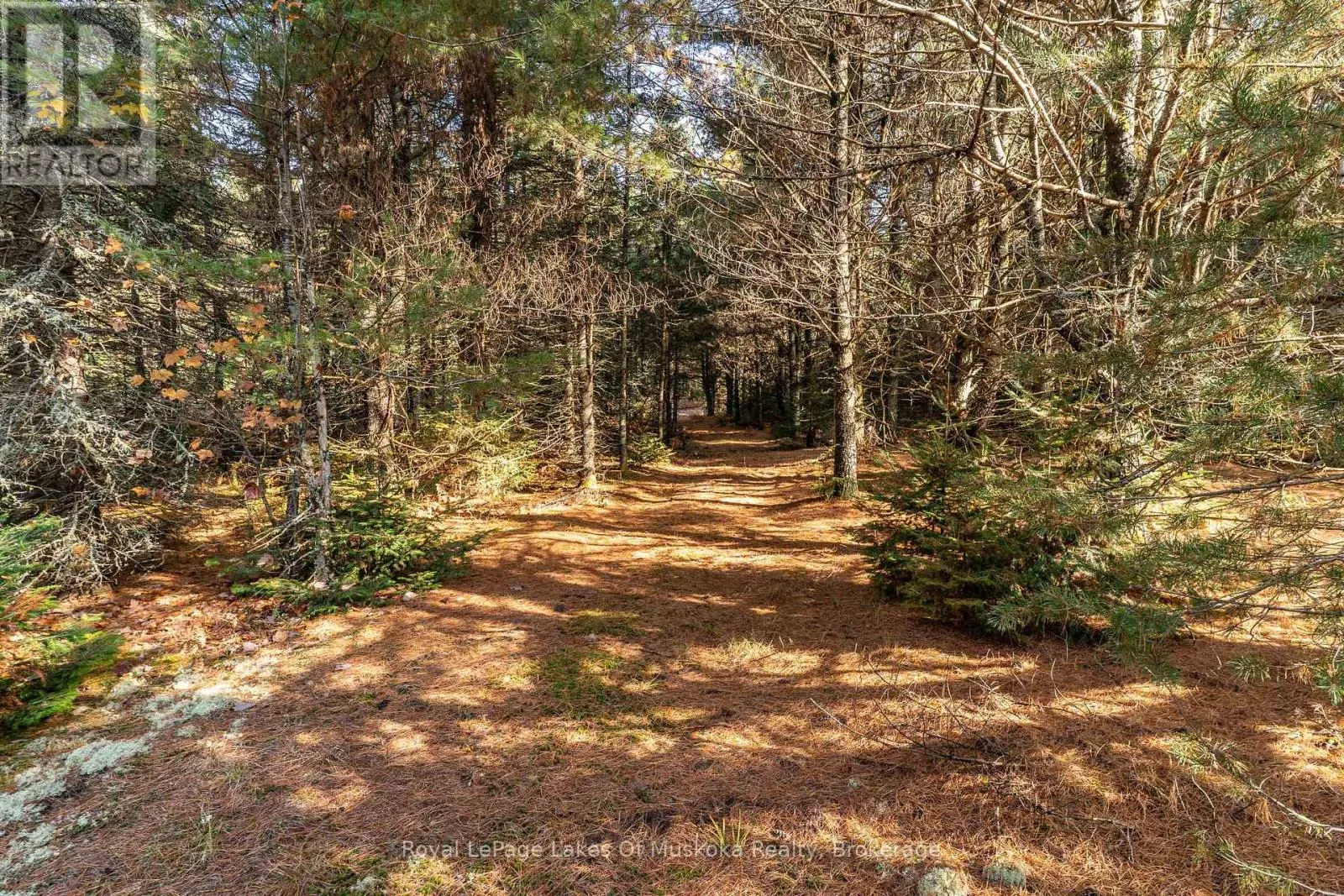 267 & 321 CARDWELL LAKE ROAD